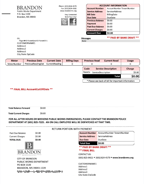 USA BRANDON MISSISSIPPI utility bill Word and PDF template